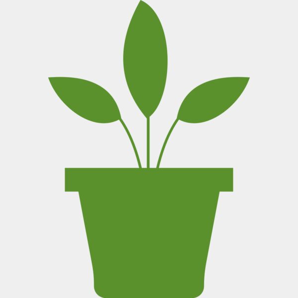 Plant 2 Thumbnail