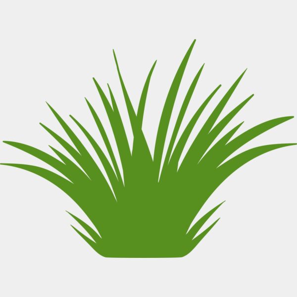 Grass 2 Thumbnail